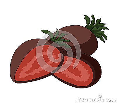 Three strawberries covered with chocolate Vector Illustration