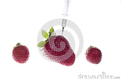 Three strawberries with one needle, isolated Stock Photo