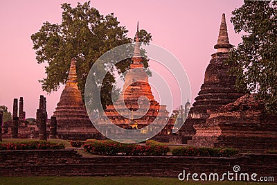 Three stupas on the ruins of the Buddhist temple Wat Mahathat. Sukhothai. Thailand Stock Photo