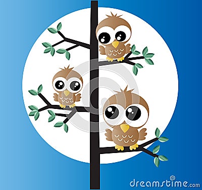 Three sweet little owls in a tree Stock Photo