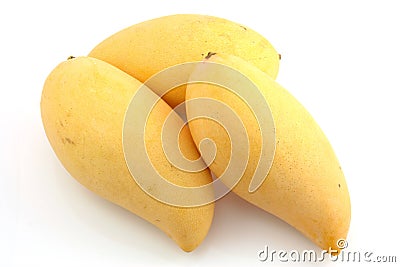 Three sweet Thai mangoes Stock Photo