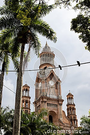 Three symbols of the city of Palmira in Colombia: Palm trees, doves and the historical Nuestra SeÃ±ora del Palmar cathedral Stock Photo