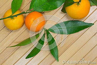 Three tangerine and green branches Stock Photo