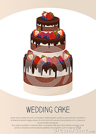 Three-Tier Cake with Chocolate and Cream Layers Vector Illustration