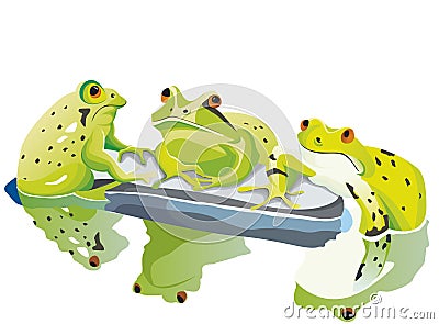 Three toad are talking on their stone Vector Illustration