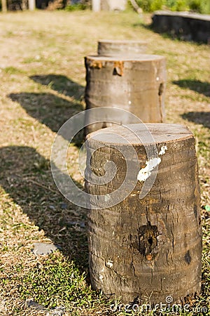 Three tree stumps Stock Photo