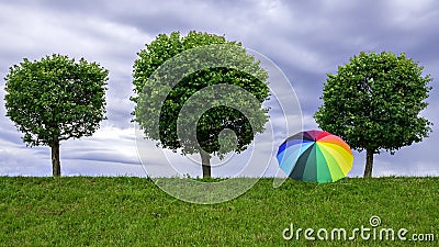 Three trees and an umbrella on a background cloudy sky Stock Photo