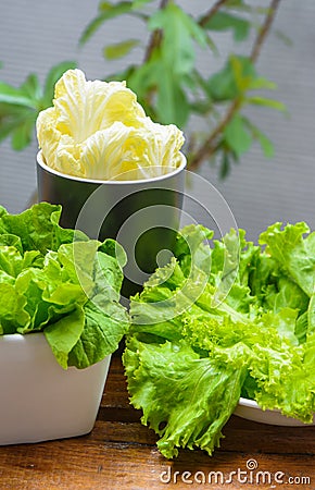 Three type vegetable on cup Stock Photo