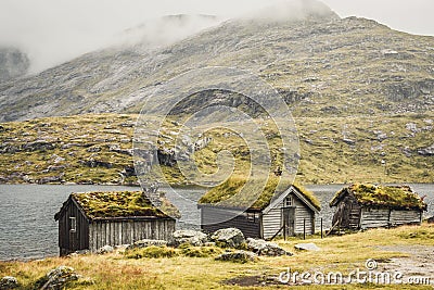 Three typical norwegian wooden houses with gras on top Stock Photo