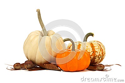 Three unique autumn pumpkins with leaves over white Stock Photo