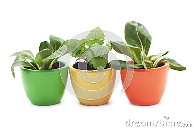 Three varicolored cups Stock Photo