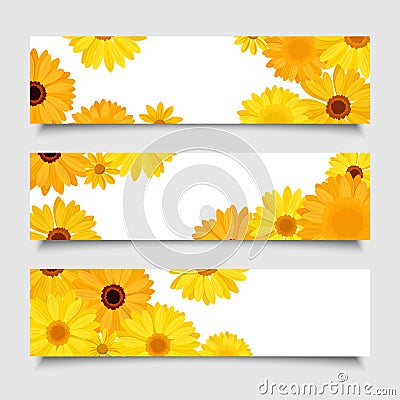 Three vector banners with orange and yellow gerbera flowers. Vector Illustration