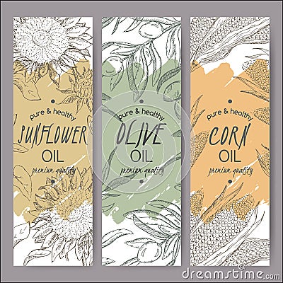 Three vector sunflower, olive, corn oil label templates. Vector Illustration