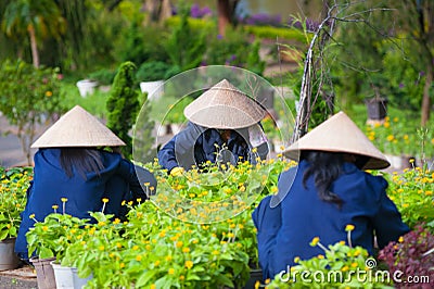 Three Vietnamese women work in garden Editorial Stock Photo