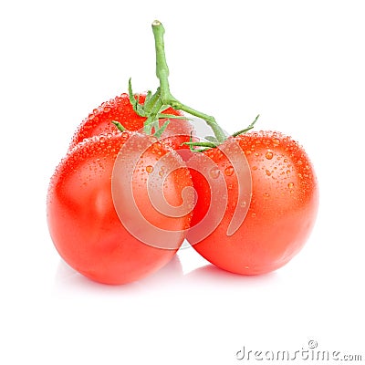 Three Vine fresh juicy tomato with water droplets Stock Photo