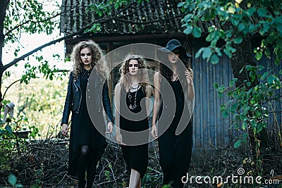 Three vintage witch go to the Sabbat Stock Photo
