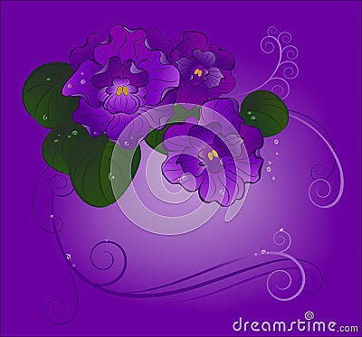 Three violets Vector Illustration