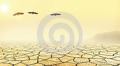 Three vultures flying over a desert Stock Photo