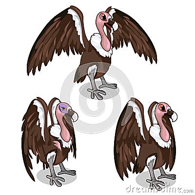 Three vultures, with spread wings, common and sick Vector Illustration