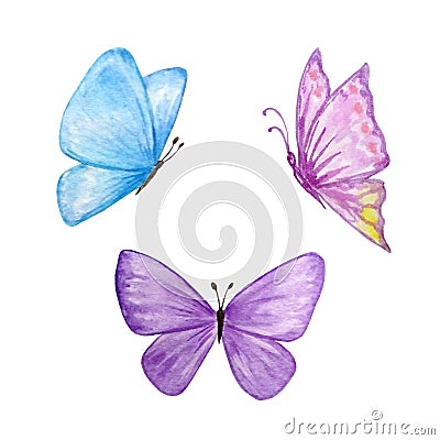 Three watercolor butterflies blue and purple Stock Photo