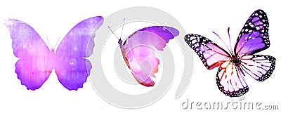 Three watercolor butterflies, isolated on white Stock Photo