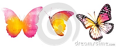 Three watercolor butterflies, isolated on white Stock Photo