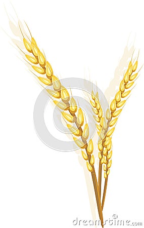 Three wheat ears Vector Illustration