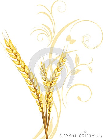 Three wheat ears with floral ornament Vector Illustration