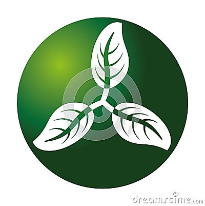 Three white leaves arranged in a propeller shape against a green spherical background Vector Illustration