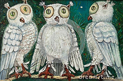 Three white owls Stock Photo