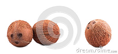 Three whole, fresh and brown coconuts, isolated on a white background. Hawaiian coconuts. Tropical and exotic coconuts. Stock Photo