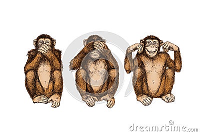 Three wise monkeys (see, hear, speak no evil) Stock Photo