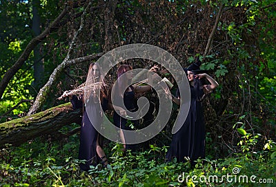 Three witches in forest Stock Photo