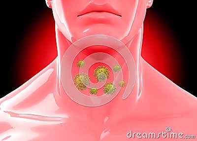 Throat - 3d Stock Photo