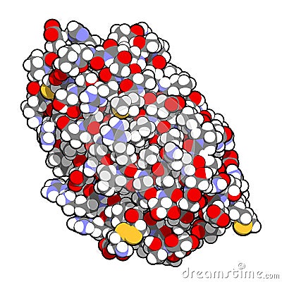 Thrombopoietin THPO, functional domain hormone. Regulates production of blood platelets. 3D rendering, atoms are represented as. Stock Photo