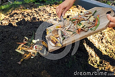 Throwing food leftovers in garden compost pile. recycling organic kitchen waste Stock Photo