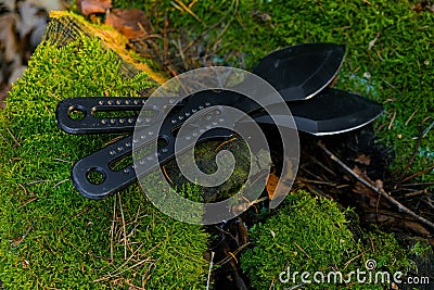 throwing knives on a mossy stump .Sport and hobby Stock Photo
