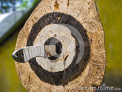 Throwing knives in the open air Stock Photo