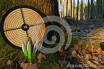 Throwing knives and a round target.Sport and hobby.Throwing knives black and green color set and wooden target for Stock Photo