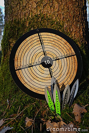 Throwing knives and a round target.Sports equipment. Throwing knives black and green color set and wooden target for Stock Photo