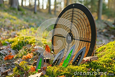 Throwing knives and a target for throwing in a sunny forest.Sport and hobby. metal knives for throwing.Outdoor sports Stock Photo