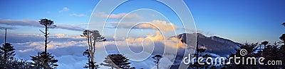 A grand view of sea of clouds on Thrumshing la , the 3750m mountain pass , eastern Bhutan. Stock Photo