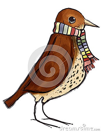 Thrush and scarf Stock Photo