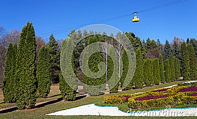 Thuja alley in the park Kislovodsk Stock Photo