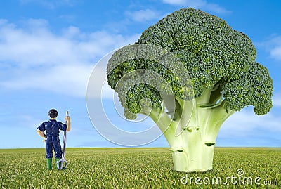 Thumbnail farmer along a broccoli Stock Photo