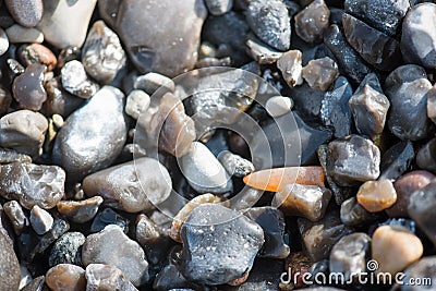 Thunderbolt, belemnite, fossil Stock Photo