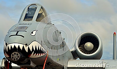 A-10 Thunderbolt II/Warthog Editorial Stock Photo