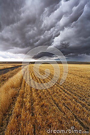 Thunderclouds above Montana Stock Photo