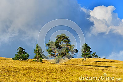 Thunderstorm field Stock Photo