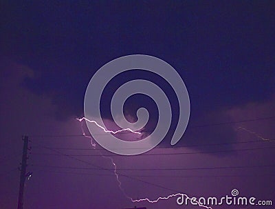 Thunderstorm at night and lightning on the horizon with trees Stock Photo